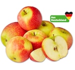 NATURGUT Deutsche Bio-Äpfel* bei Penny im Nordhausen Prospekt für 1,99 €