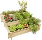 Promo Carré potager lipsi en pin à 39,90 € dans le catalogue Tout Faire à Mirepoix