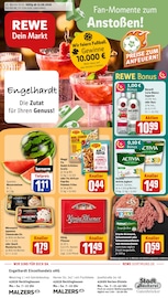 Gin im REWE Prospekt in Recklinghausen Aktueller REWE Prospekt mit Gin, "Dein Markt", Seite 1