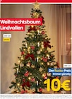 Weihnachtsbaum Lindvallen Angebote bei Rusta Frechen für 49,90 €