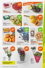 Pflanzen Angebot & Preis im aktuellen tegut Prospekt Pflanzen Angebot im aktuellen tegut Prospekt auf Seite 3