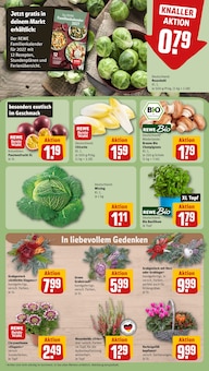 Gemüse im REWE Prospekt "Dein Markt" mit 30 Seiten (Oldenburg)
