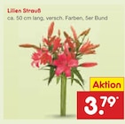 Aktuelles Lilien Strauß Angebot bei Netto Marken-Discount in Düsseldorf ab 3,79 €