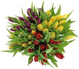 Aktuelles XL-Tulpenstrauß Angebot bei REWE in Erfurt ab 5,55 €