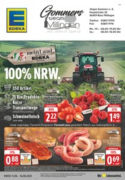 Aktueller EDEKA Supermarkt Prospekt in Rees und Umgebung, "Aktuelle Angebote" mit 24 Seiten, 11.08.2025 - 16.08.2025
