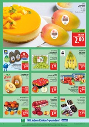 Avocado Angebot im aktuellen Marktkauf Prospekt auf Seite 10