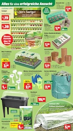 Aktueller Thomas Philipps Prospekt mit Blumen, "Top Angebote", Seite 2