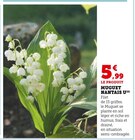 Muguet Nantais - U en promo chez Hyper U Mulhouse à 5,99 €