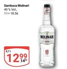 Sambuca im Angebot bei GLOBUS in Altenburg Sambuca Angebote von Molinari bei GLOBUS Altenburg für 12,99 €