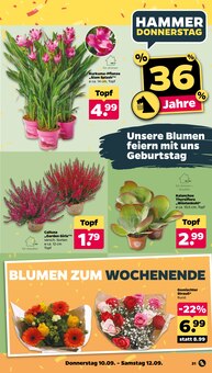 Netto mit dem Scottie Prospekt der aktuellen Woche, gĂĽltig von 07.09.2026 bis 12.09.2026 Aktueller Netto mit dem Scottie Prospekt "GĂĽnstig. Besser. FĂĽr Dich." mit 45 Seiten