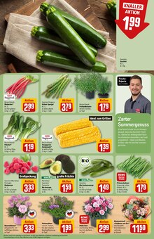 Bohnen im REWE Prospekt "Dein Markt" mit 40 Seiten (Bonn)