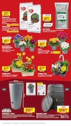Pflanzerde Angebot im aktuellen toom Baumarkt Prospekt auf Seite 4