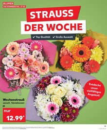 Blumen im Kaufland Prospekt "Aktuelle Angebote" mit 32 Seiten (Koblenz)