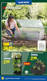 Offre Plante Aromatique dans le catalogue Lidl du moment à la page 52