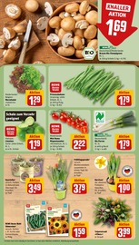 Gartenmöbel im REWE Prospekt in Stralsund Aktueller REWE Prospekt mit Gartenmöbel, "Dein Markt", Seite 7