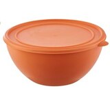 Schüssel mit Deckel im Angebot bei REWE in Buxtehude Schüssel mit Deckel Angebote von VIVESS bei REWE Buxtehude für 3,99 €