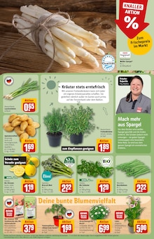 Blumen im REWE Prospekt "Dein Markt" mit 32 Seiten (Nürnberg)