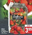 EDEKA Sandersdorf Prospekt mit  im Angebot für 3,99 €