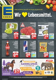 EDEKA Prospekt für Zöllnitz mit 8 Seiten EDEKA Prospekt "Wir lieben Lebensmittel!" für Zöllnitz, 8 Seiten, 25.08.2025 - 30.08.2025