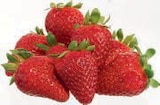 Erdbeeren im aktuellen METRO Prospekt