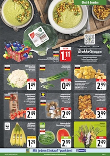 Pflanzen im aktuellen EDEKA Prospekt (Leipzig) Pflanzen im EDEKA Prospekt "Wir lieben Lebensmittel!" mit 28 Seiten (Leipzig)