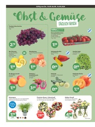 V-Markt Nelke im Prospekt 