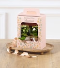 Coffret Duo Plantes - Super U à Besançon Coffret Duo Plantes en promo chez Super U Besançon à 6,99 €