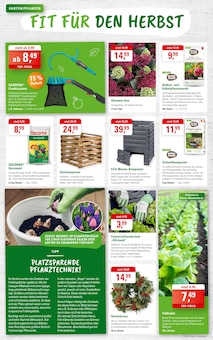 ZG Raiffeisen Schopfheim Prospekt der aktuellen Woche, gültig von 17.09.2026 bis 23.09.2026 Aktueller ZG Raiffeisen Schopfheim Prospekt "GARTENPFLEGE IM HERBST" mit 8 Seiten