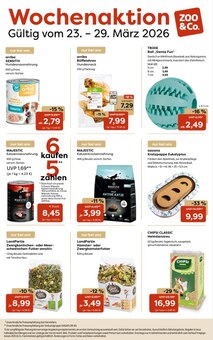 Katzenfutter im aktuellen ZOO und Co. Prospekt (Berlin) Katzenfutter im ZOO und Co. Prospekt "Wochenaktion" mit 1 Seiten (Berlin)