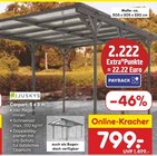 Carport Angebote von Juskys bei Netto Marken-Discount Lehrte für 799,00 €