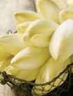 Promo Endive à 1,99 € dans le catalogue Intermarché Express à Vienne
