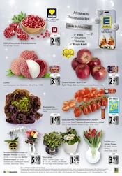 Aktueller EDEKA Prospekt mit Blumen, "Aktuelle Angebote", Seite 7