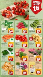 Pilze im REWE Prospekt in Aachen Aktueller REWE Prospekt mit Pilze, "Dein Markt", Seite 7