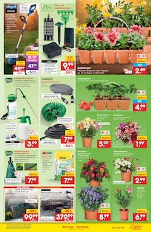 Wasser im Netto Marken-Discount Prospekt "Aktuelle Angebote" mit 53 Seiten (Berlin)