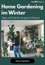 kaufDA Magazin Prospekt für Rostock mit 1 Seiten kaufDA Magazin Prospekt für Rostock: "Home Gardening im Winter", 1 Seiten, 02.02.2021 - 28.02.2021