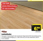 Aktuelles Laminatboden Angebot bei Hagebaumarkt in Mainz ab 20,52 €