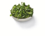 Bio Feldsalat Angebote bei Lidl Göttingen für 0,99 €