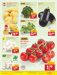 Kartoffeln im Netto Marken-Discount Prospekt "Aktuelle Angebote" mit 65 Seiten (Cottbus)