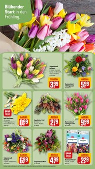 Tulpen im REWE Prospekt "Dein Markt" mit 34 Seiten (Potsdam)