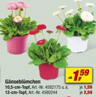 toom Baumarkt Hameln Prospekt mit  im Angebot für 1,59 €