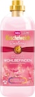 Weichspüler von Kuschelweich für 1,69 € bei Netto mit dem Scottie im Angebot Weichspüler von Kuschelweich im aktuellen Netto mit dem Scottie Prospekt