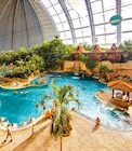 Tropical Islands bei Berlin Angebote bei Lidl Heidelberg für 59,00 €
