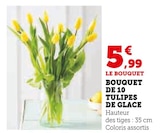 Bouquet de 10 tulipes de glace - U Express à Dijon Bouquet de 10 tulipes de glace en promo chez U Express Dijon à 5,99 €