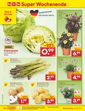 Stauden im Netto Marken-Discount Prospekt in Pforzheim Aktueller Netto Marken-Discount Prospekt mit Stauden, "Aktuelle Angebote", Seite 54