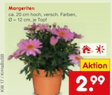Aktuelles Margeriten Angebot bei Netto Marken-Discount in Oberhausen ab 2,99 €