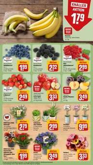 Äpfel im aktuellen REWE Prospekt (Duisburg) Äpfel im REWE Prospekt "Dein Markt" mit 28 Seiten (Duisburg)
