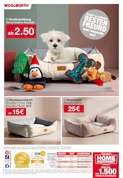 Woolworth Hundekissen im Prospekt Woolworth Hundekissen im Prospekt