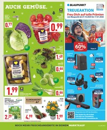 Obst im Marktkauf Prospekt "Aktuelle Angebote" mit 30 Seiten (Wuppertal)