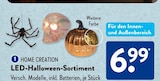ALDI SÜD Freiberg - LED-Halloween-Sortiment Angebot im Prospekt LED-Halloween-Sortiment bei ALDI SÜD im Freiberg Prospekt für 6,99 €