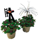 Marktkauf Prenzlau - Glücksklee Angebot im Prospekt Glücksklee bei Marktkauf im Prenzlau Prospekt für 1,99 €